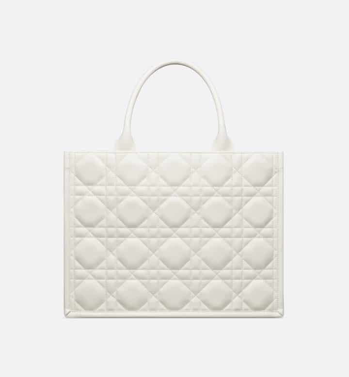 Medium Dior Book Tote