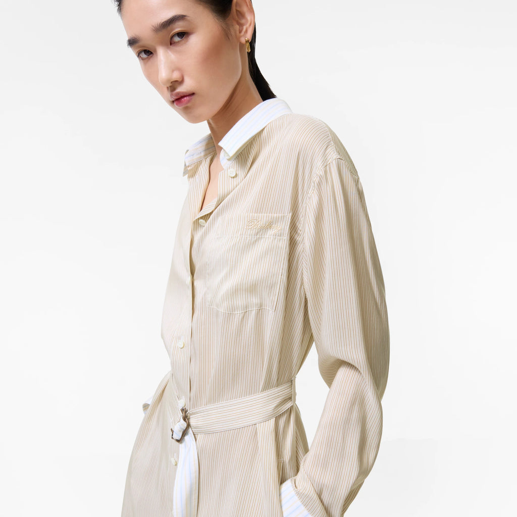 Striped Silk Poplin Shirt Dress