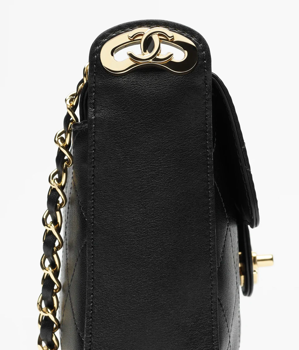 Lambskin, Calfskin & Gold-Tone Metal RUNWAY DELUXE