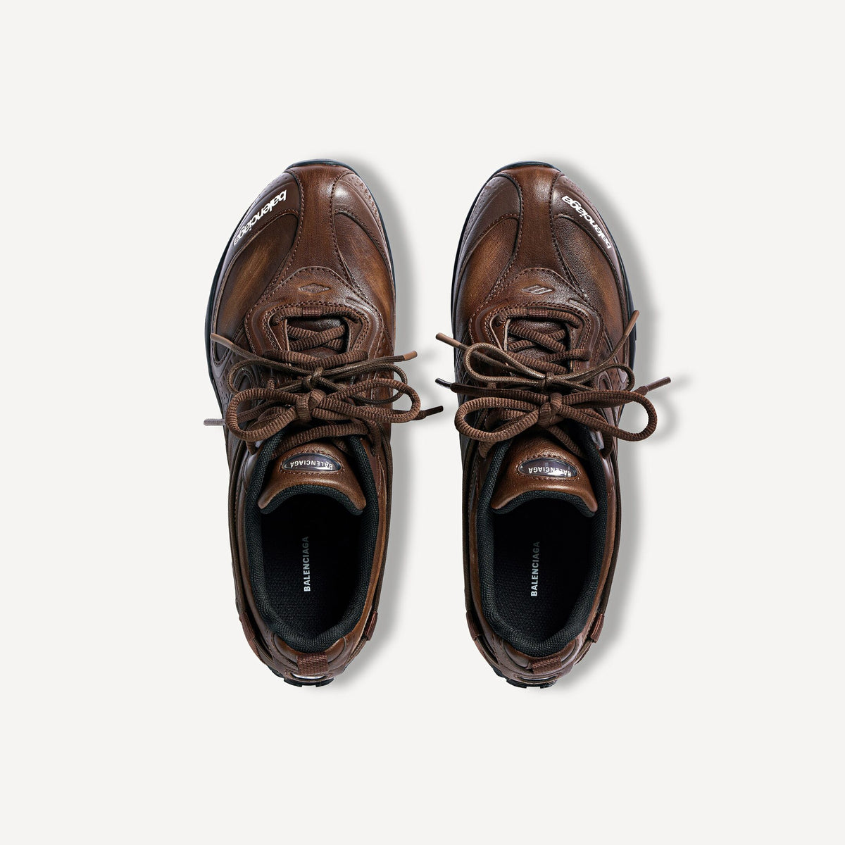 Women's Radar Leather Sneaker in Brown/black