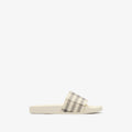 Check Slides RUNWAY DELUXE