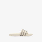 Check Slides RUNWAY DELUXE