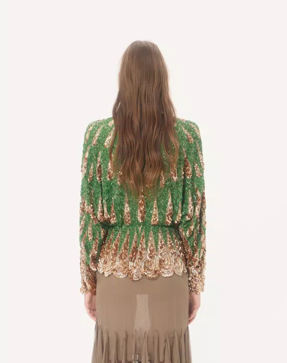 Embroidered Chiffon Top