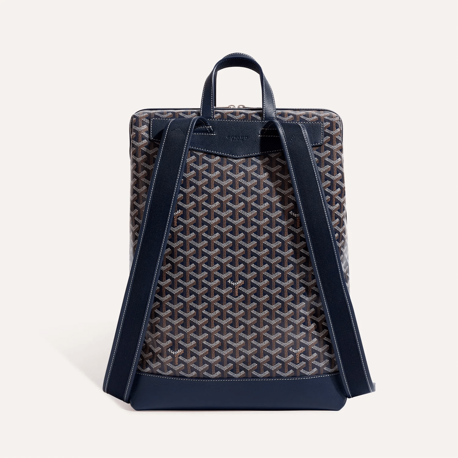Cisalpin Backpack
