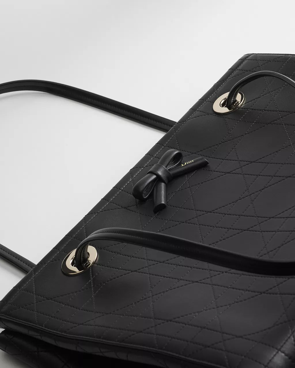 Medium Dior Promenade Shopping Bag RUNWAY DELUXE