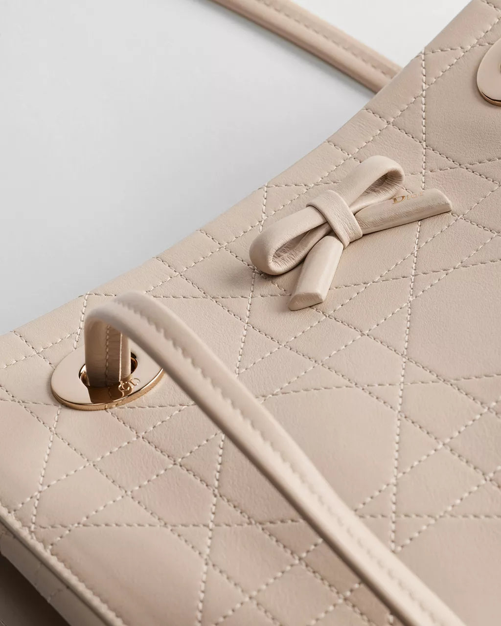 Small Dior Promenade Shopping Bag RUNWAY DELUXE