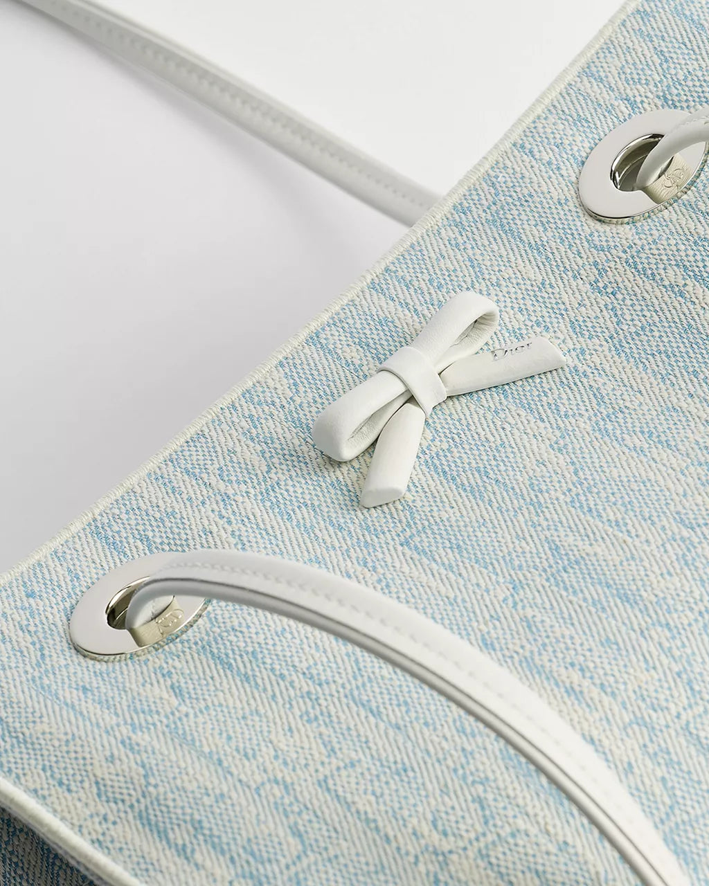 Small Dior Promenade Shopping Bag RUNWAY DELUXE