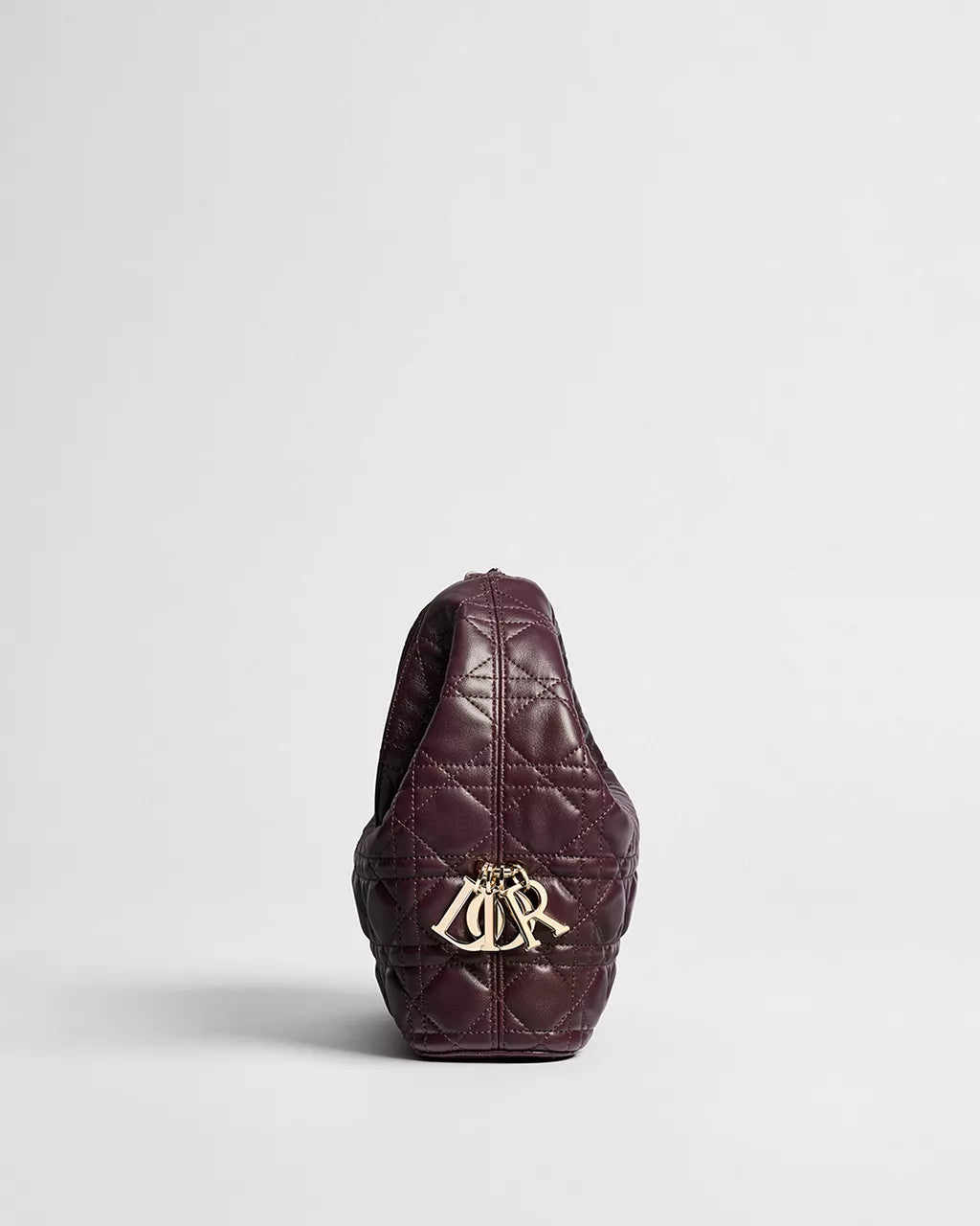 Small Dior Toujours Hobo Bag RUNWAY DELUXE