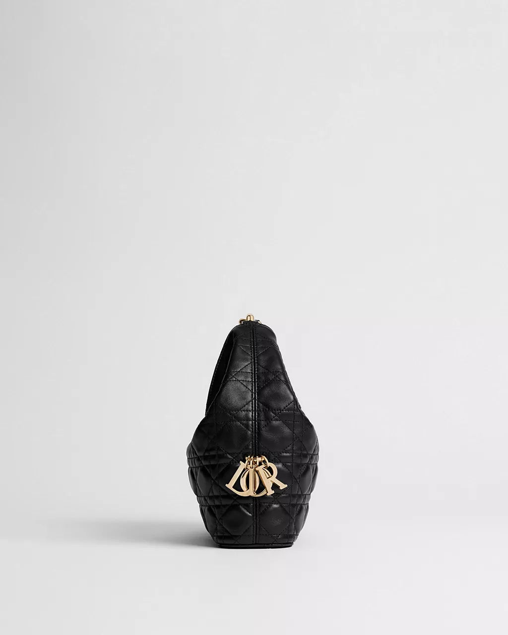 Small Dior Toujours Hobo Bag RUNWAY DELUXE