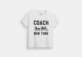 Horse And Carriage T-Shirt In Organic Cotton RUNWAY DELUXE