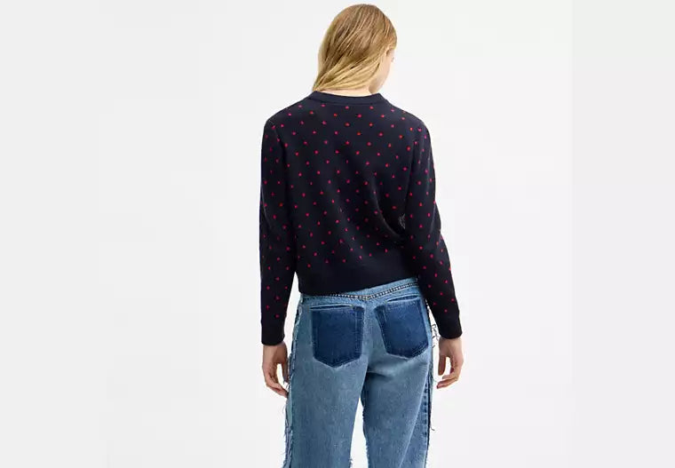 Coach Double Face Crewneck Sweater RUNWAY DELUXE